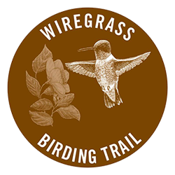 Wiregrass Birding Trail logo